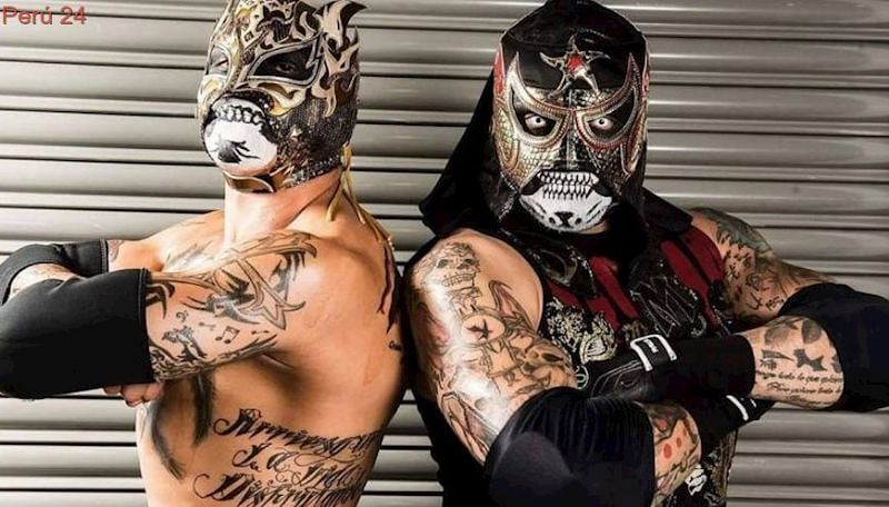 The Lucha Brothers have been an integral part of Impact's tag team division and have also appeared in MLW.